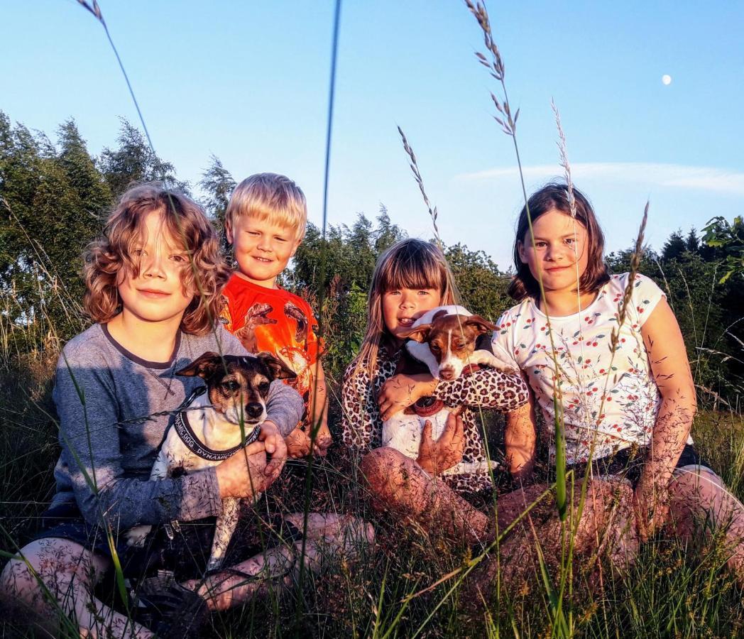 Broesarp Kaellagarden Stora Gardslaegenheten Екстер'єр фото