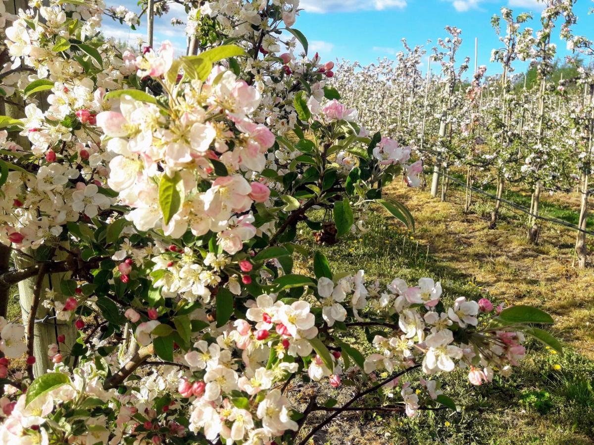 Broesarp Kaellagarden Stora Gardslaegenheten Екстер'єр фото