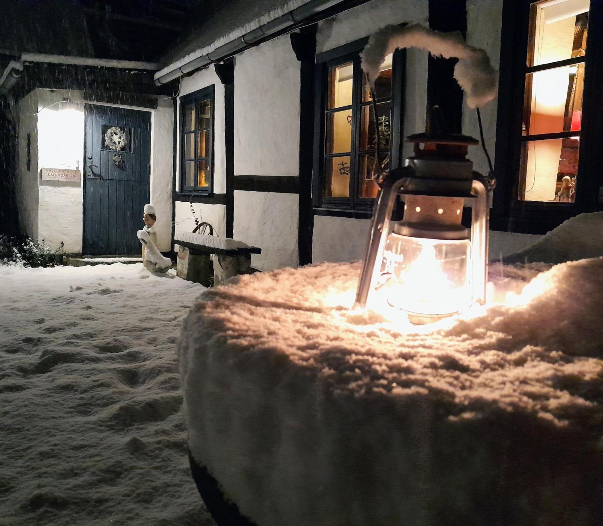 Broesarp Kaellagarden Stora Gardslaegenheten Екстер'єр фото