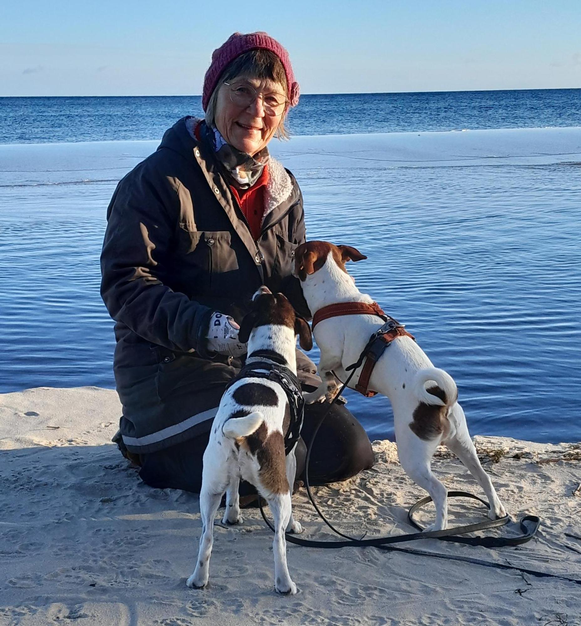 Broesarp Kaellagarden Stora Gardslaegenheten Екстер'єр фото