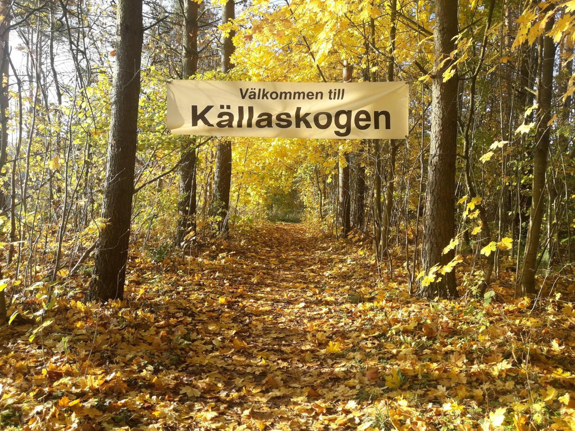 Broesarp Kaellagarden Stora Gardslaegenheten Екстер'єр фото
